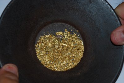 Gold in pan