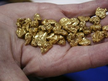 Hand full of beautiful gold nuggets