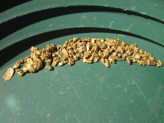 Rogue River Gold Nuggets