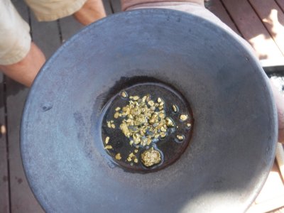 gold nuggets in metal pan