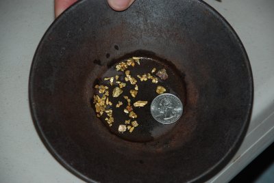 Gold nuggets in a gold pan