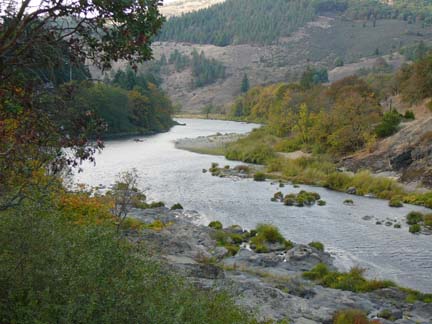 Umpqua River View