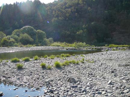 Umpqua River 2