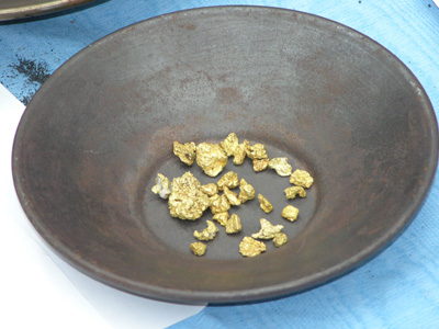 Gold panning facts When you pan for gold you just cant find gold you can  only find flacks of gold. You cant find gold just like that The concept of  gold. 