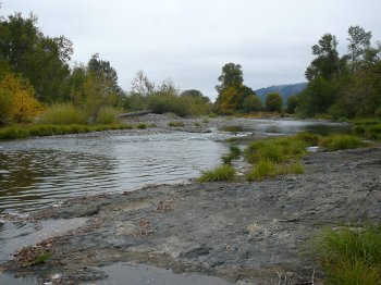 Umpqua River Scene