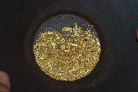 Gold in a pan