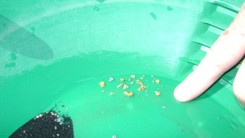 Small gold Nuggets