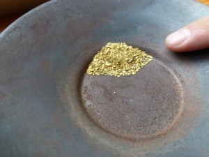 Nice gold in the pan