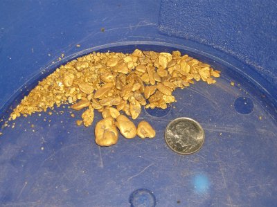 Gold from 7 days of mining